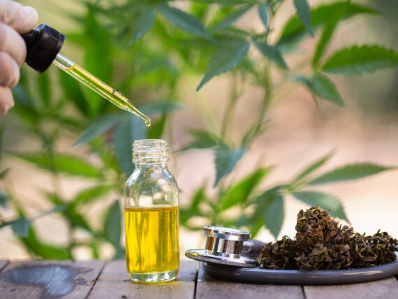 Hemp oil, Medical marijuana products including cannabis leaf, dried bud, cbd and hash oil over black wood background