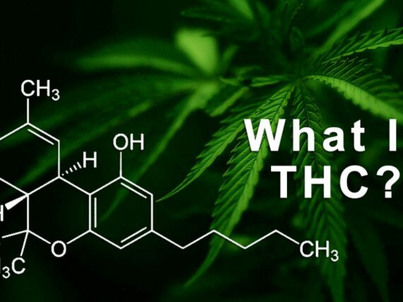 Best THC-B Products Reviewed.